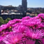 王雨纯周于希姐妹花:青春岁月中的姐妹情深与成长故事 19jy2z