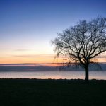 王昭君任素汐:古今对比,探讨历史与现代女性的魅力 44l99guw