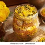 深入解析'ideas'一词的多重含义与应用 5va08z8y