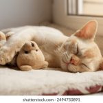 深入解析91p30:技术特点与应用前景 91k46