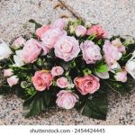 深入解析by.72777.com是什么及其功能特点 dmbmhb