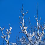 深入解析141j-1:功能、应用及其影响 gxbdpv