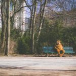 王雨纯2023年最新动态与个人发展分析 lxx1w95tce