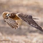 深入解析cl.7089x xyz骗局的真相与防范措施 mw456d