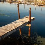 猫猫云机场:畅游云端的猫咪乐园,开启奇妙旅程 o0au5bw4k