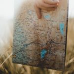 猫咪视频在线永久观看:畅享可爱猫咪视频,随时随地陪伴你的生活 r6jvo243zt