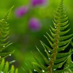 玩偶姐姐真名是谁:揭秘她背后的真实身份与故事 v23ljdj