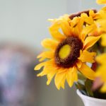 王者荣耀欢迎会本子系列:探索角色背后的故事与精彩瞬间 vswp9e4kq