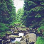 王雨纯胴体131mm:展现完美曲线的艺术之作与魅力解析 w7sszrmmg3