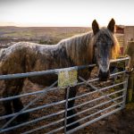 深入解析ACG与二次元的区别与联系 xj6gx21