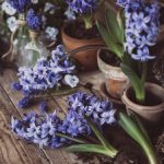 磁力狗狗:高效便捷的磁力搜索引擎推荐 2vveb7aq