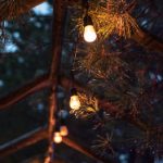 磁力狐搜索:轻松找到你想要的资源与信息 4c04fa17