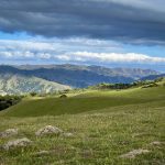 磁力种子在线播放:畅享高清影视资源的最佳选择与指南 596hxvys