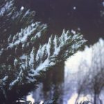 磁力猫官网cilimao:探索最新影视资源,畅享无限观影乐趣 80203u7