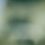 磁力猫网页版:畅享高清影视资源的最佳选择与使用指南 e1fova