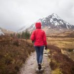 磁力熊官网安装:轻松获取最新版本,畅享无限资源! o10ao